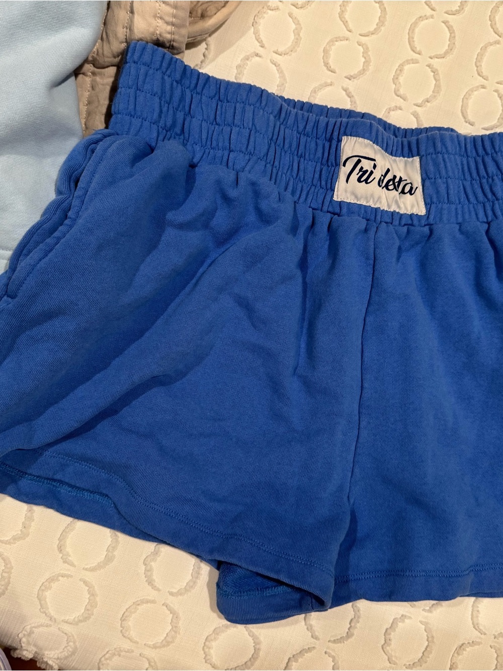 Tri Delta Sweatshorts